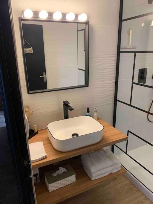 Plaisance-du-Touch Villa 3 Chambres Parking Et Terrasse מראה חיצוני תמונה