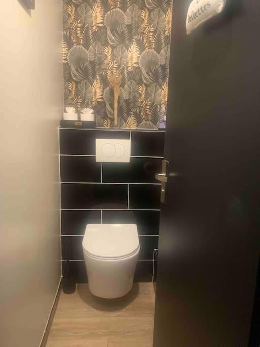 Plaisance-du-Touch Villa 3 Chambres Parking Et Terrasse מראה חיצוני תמונה