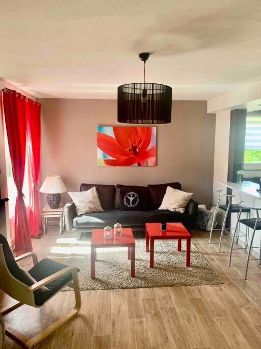 Plaisance-du-Touch Villa 3 Chambres Parking Et Terrasse מראה חיצוני תמונה